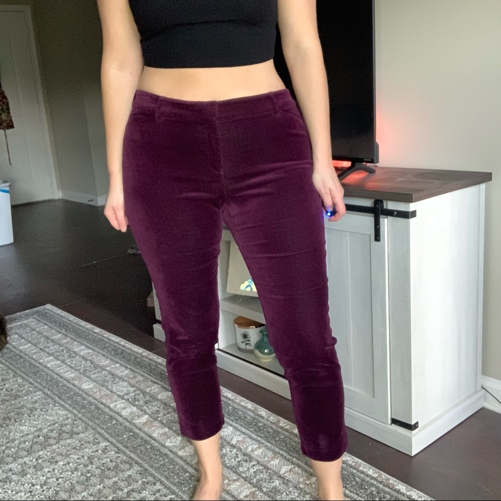 Purple velvet mid rise tailored ankle pant